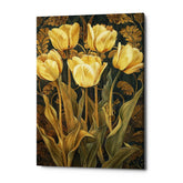 Rebirth Beauty Tulip Canvas Wall Art Print And Mounted